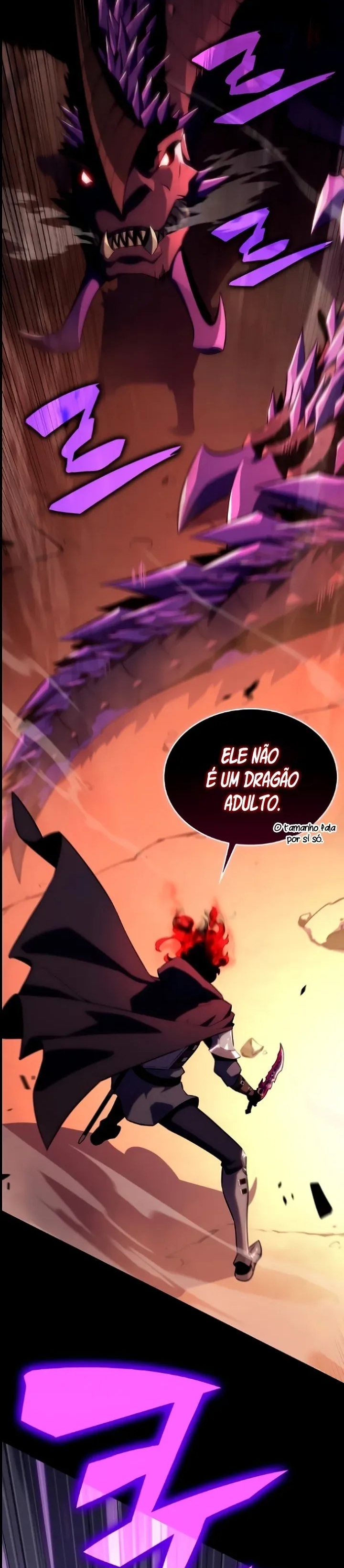 Cap 11 página 17