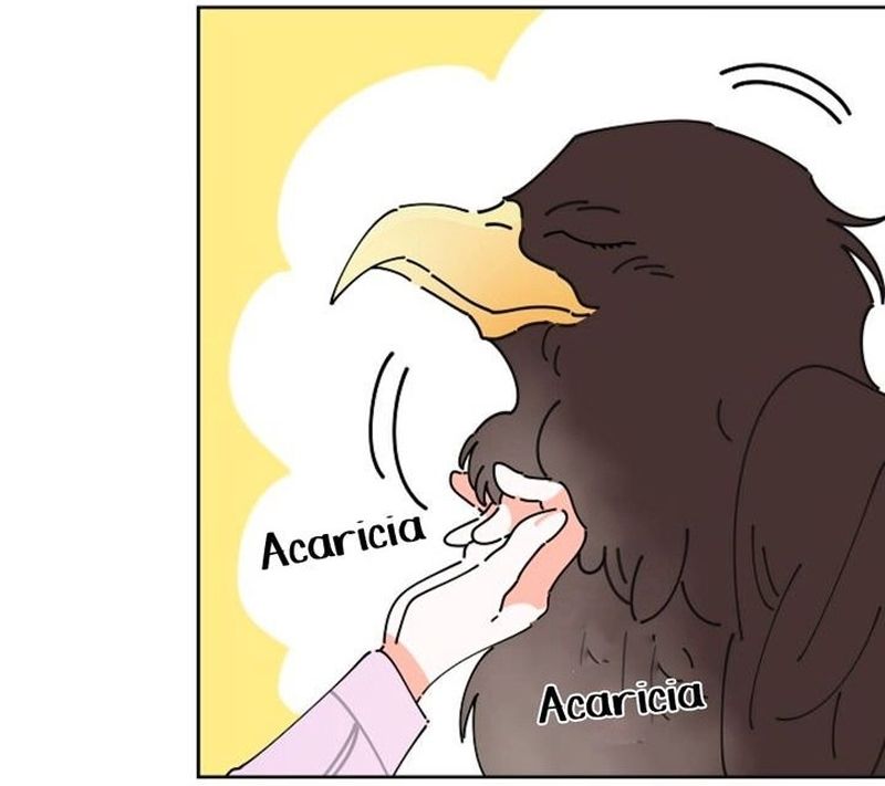 Cap 4 página 83