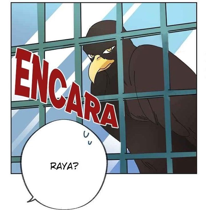 Cap 6 página 81