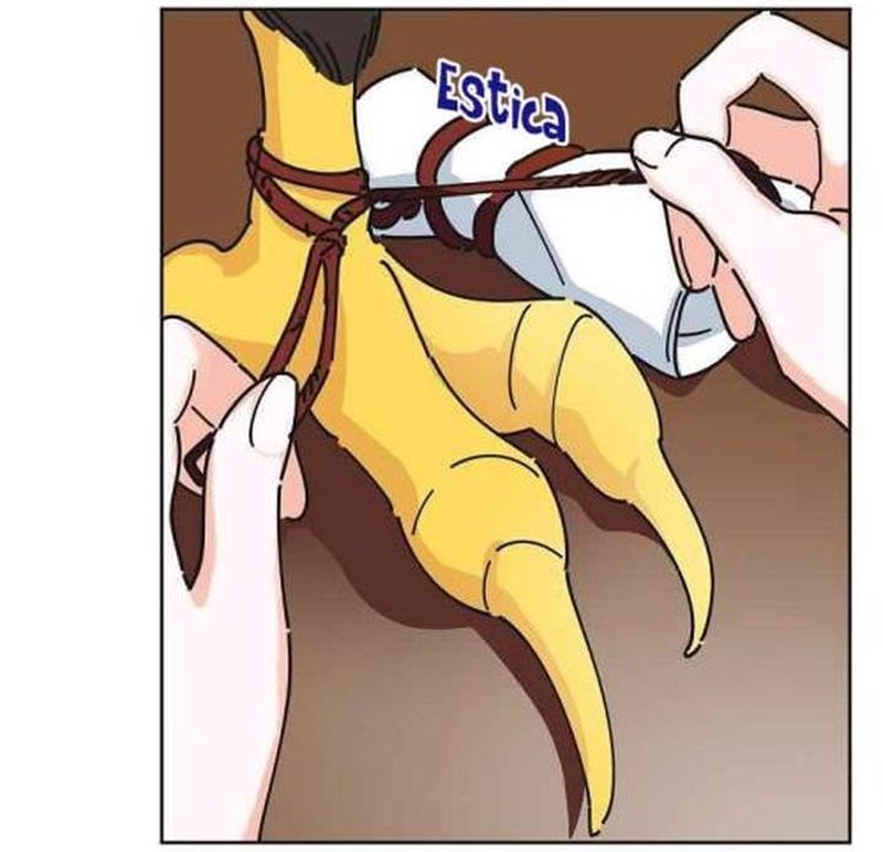 Cap 9 página 77