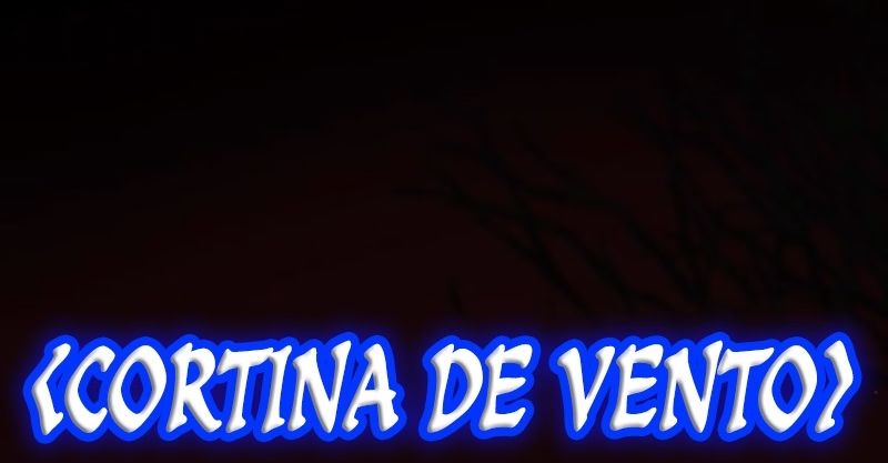 Cap 4 página 29