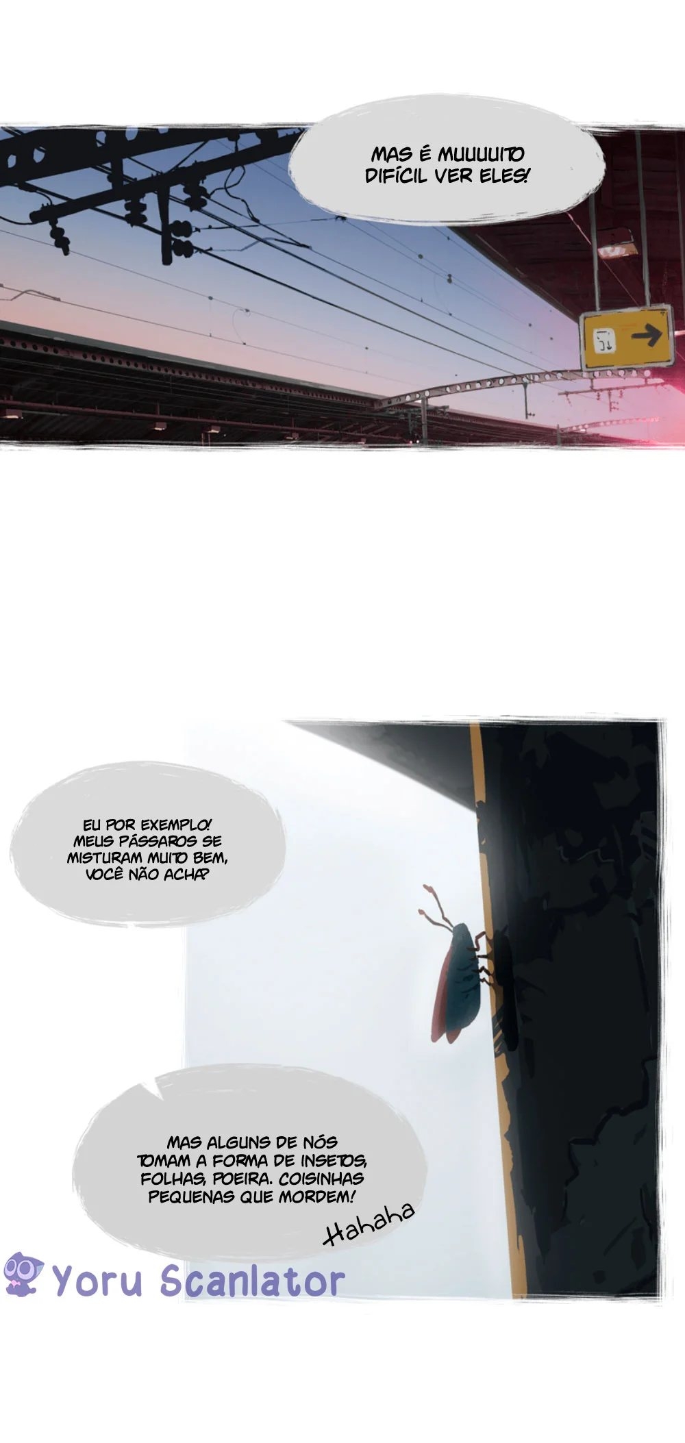 Cap 3 página 23
