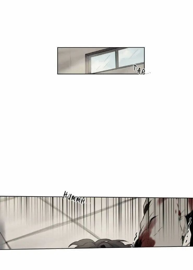 Cap 8 página 13