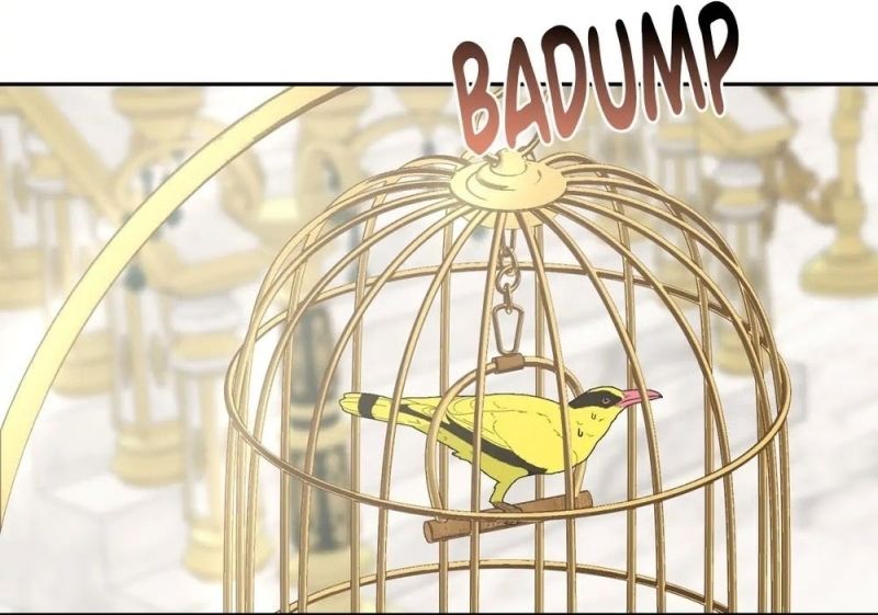 Cap 8 página 25