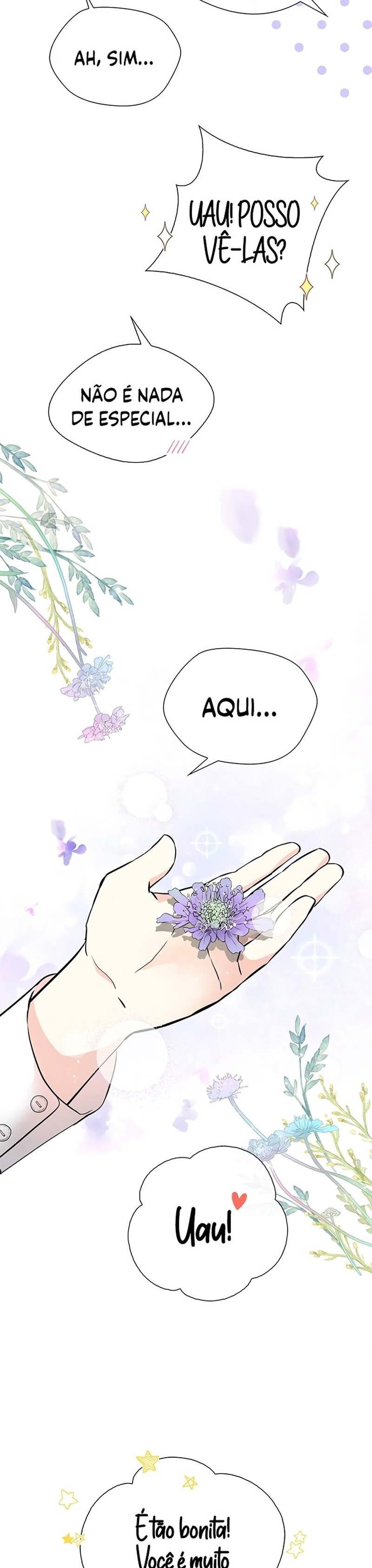 Cap 6 página 41