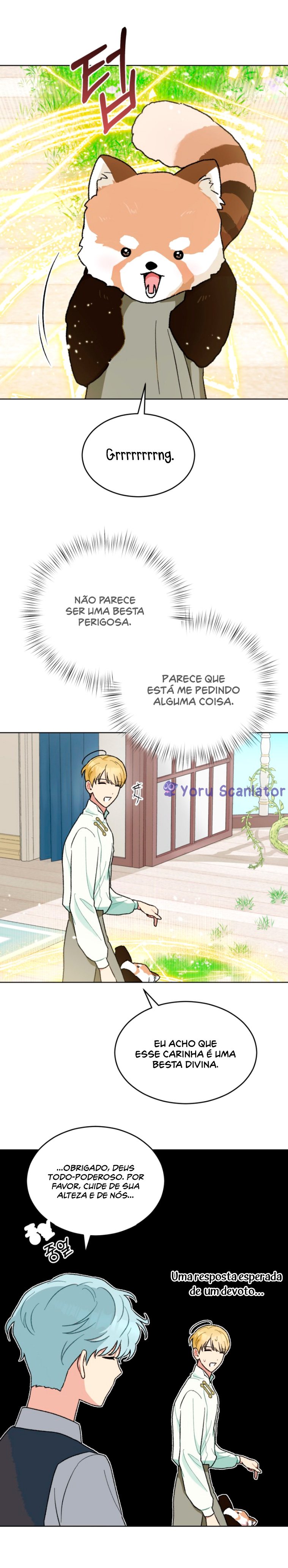 Cap 9 página 17