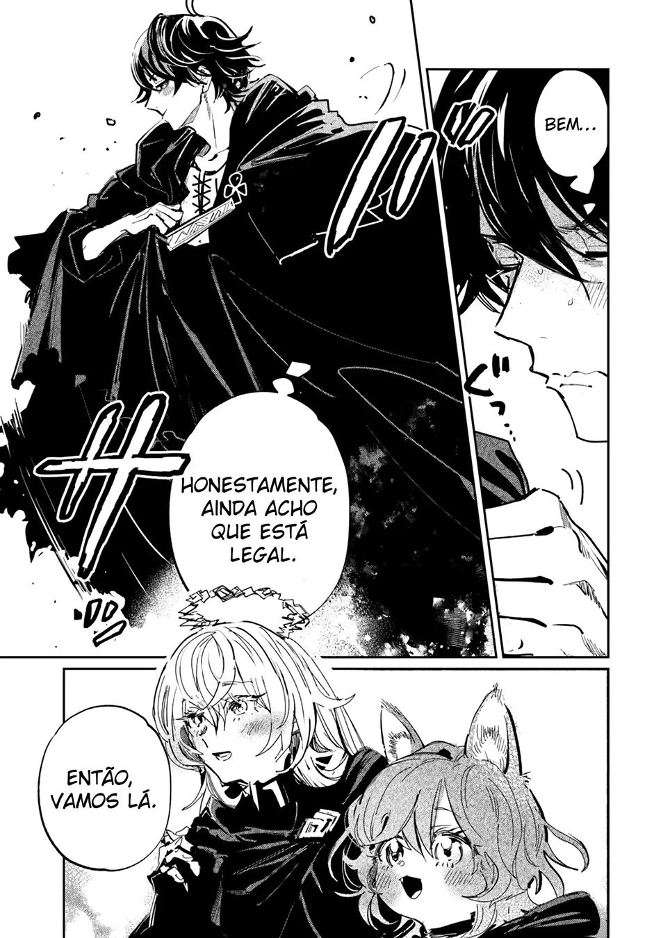 Cap 2.2 página 13