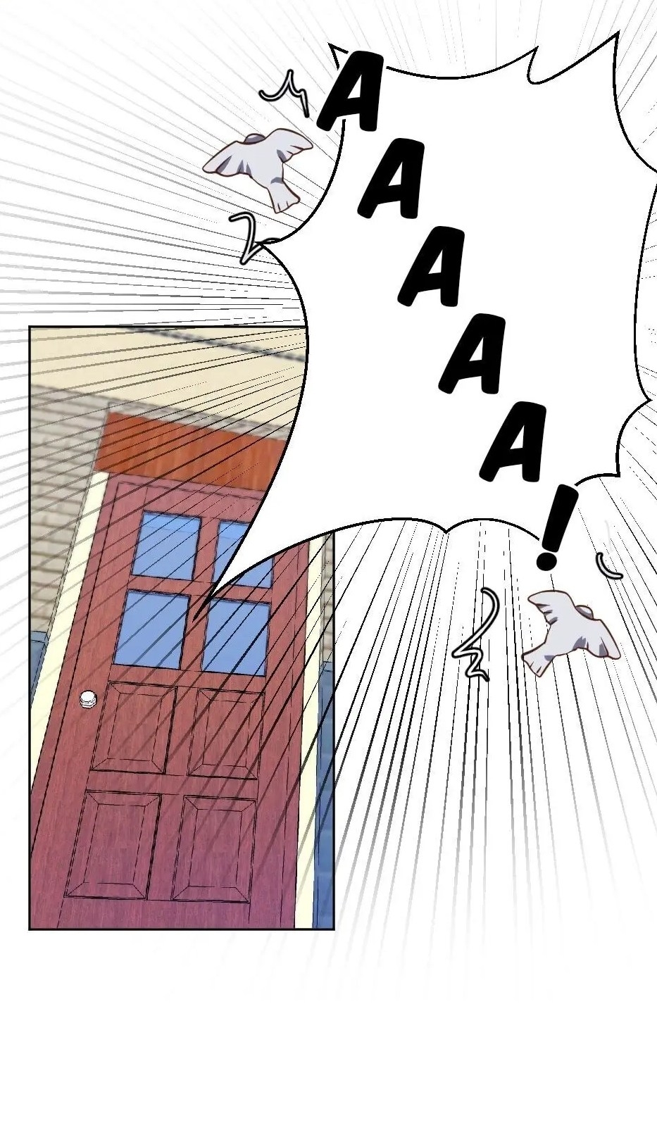 Cap 5 página 19