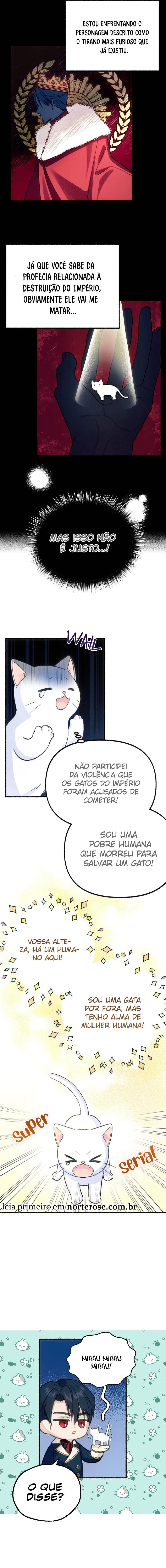 Cap 1 página 13