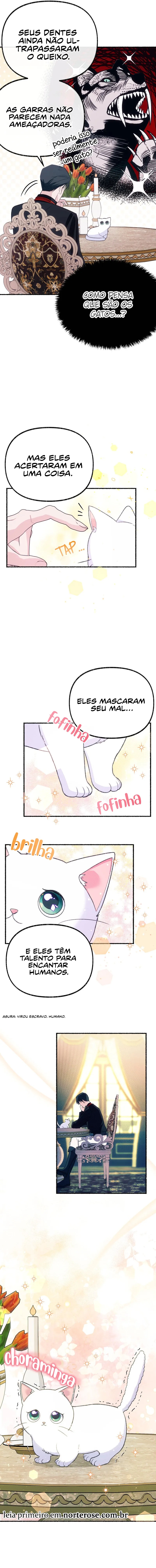 Cap 1 página 17
