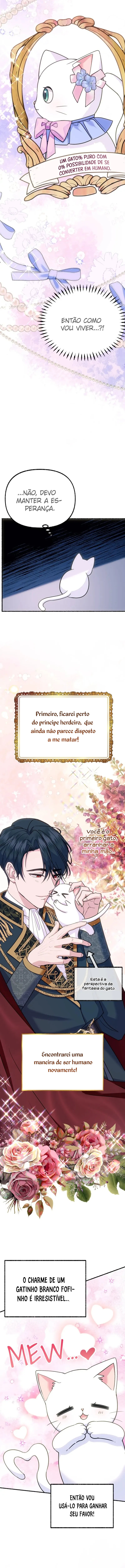 Cap 3 página 7