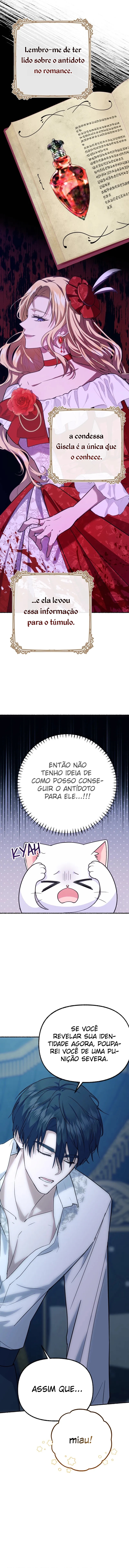 Cap 4 página 11