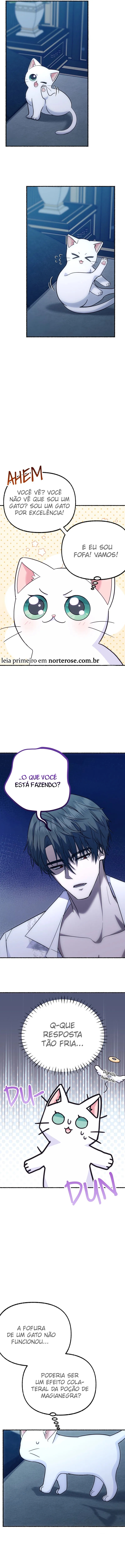 Cap 4 página 12
