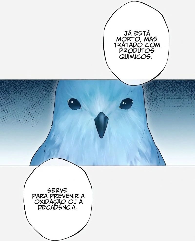 Cap 2 página 32