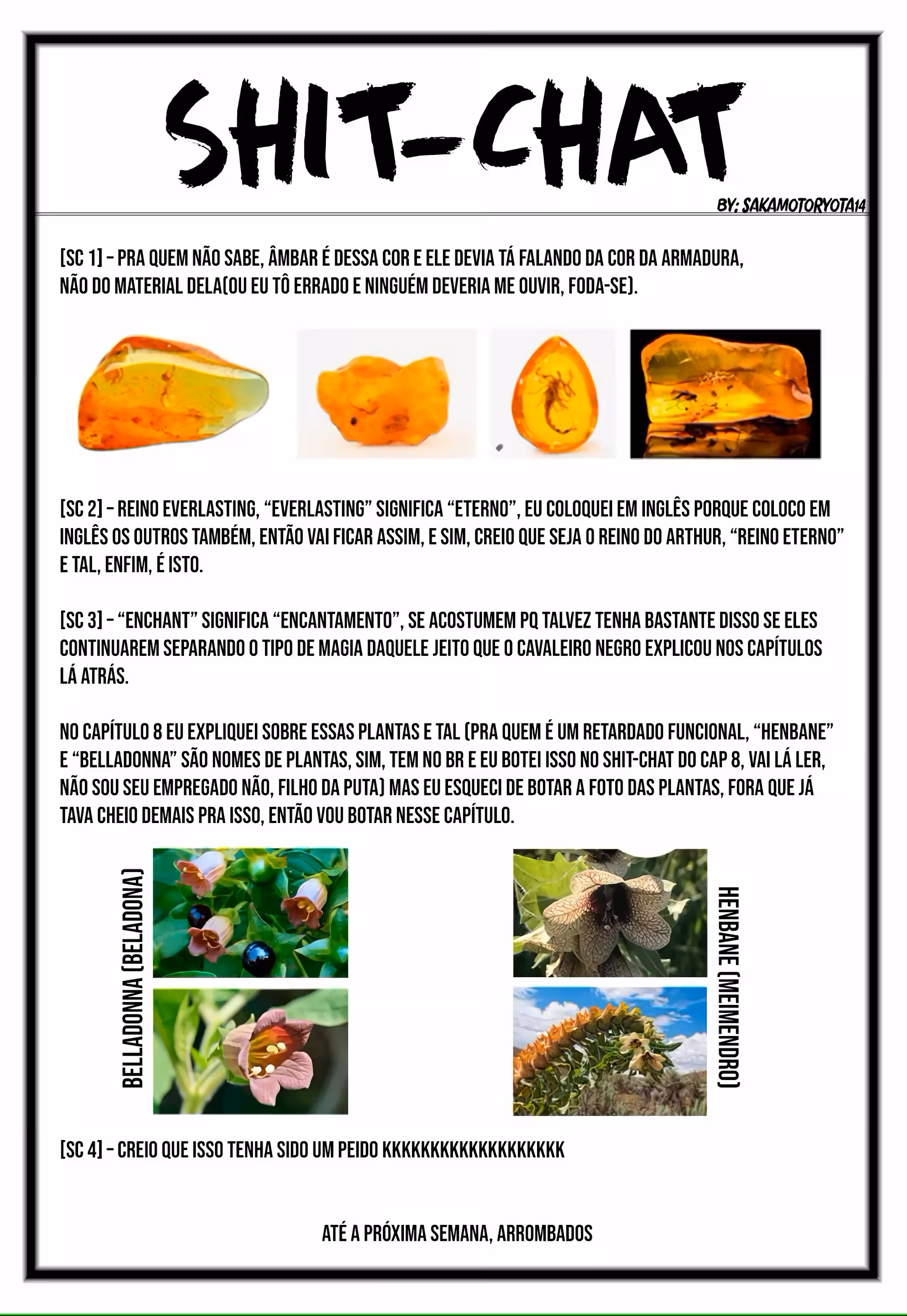 Cap 11 página 22