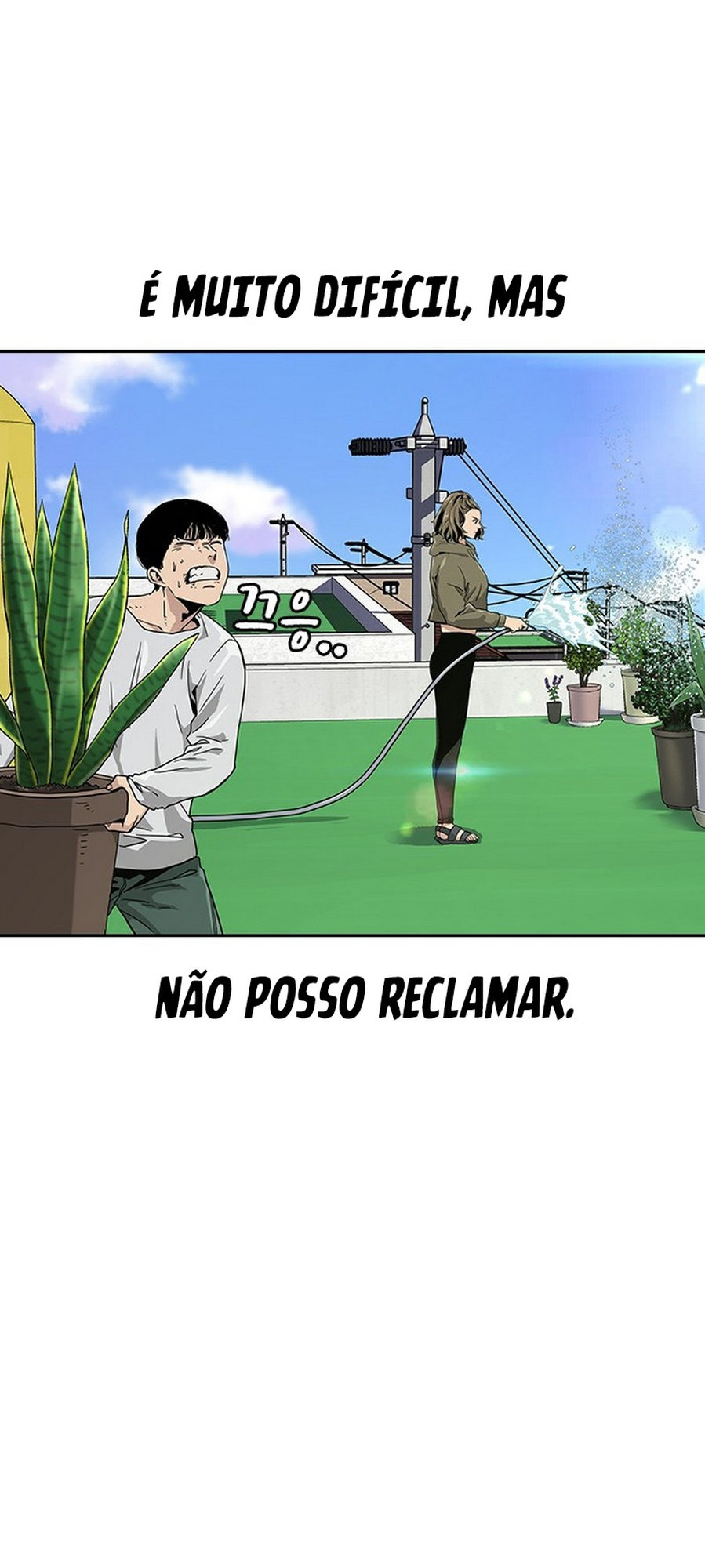 Cap 6 página 17