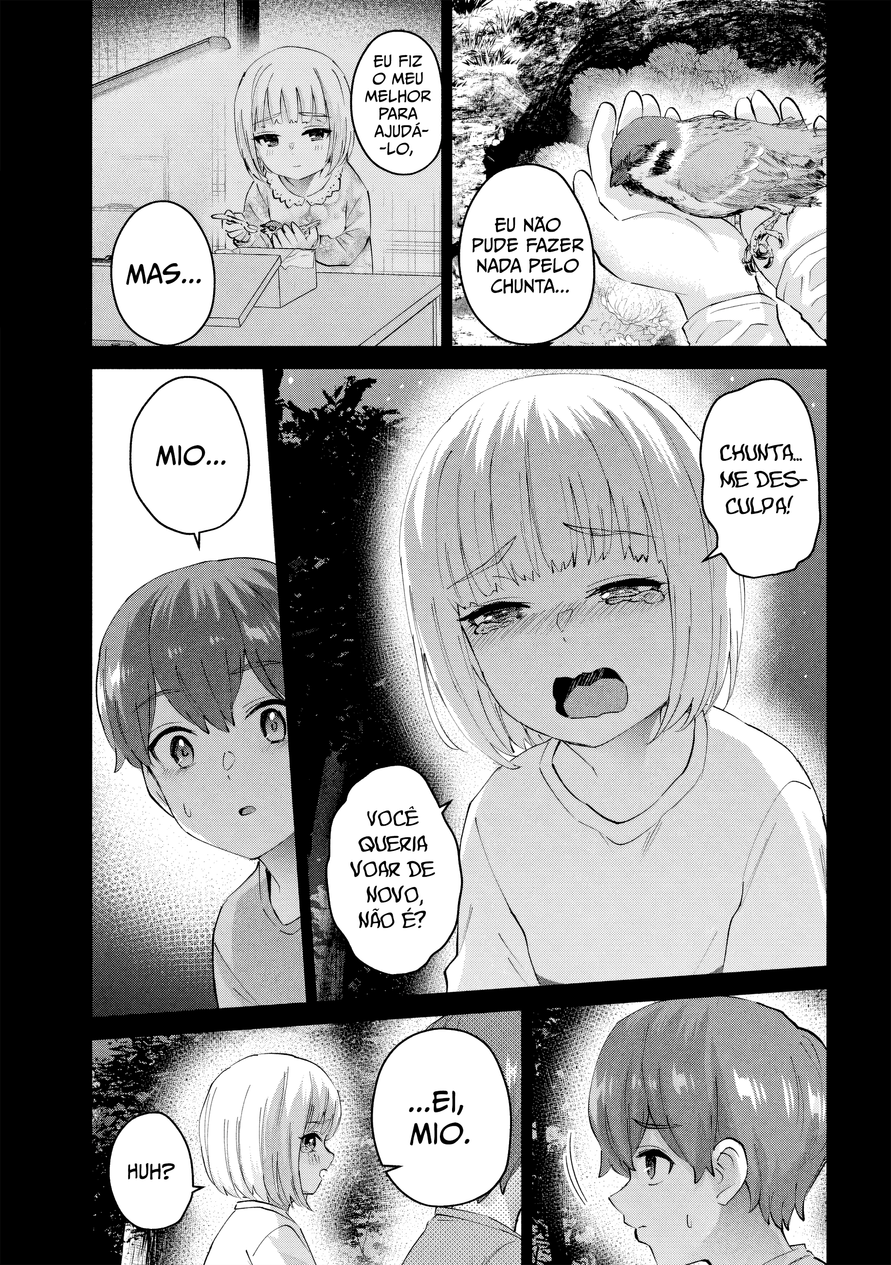 Cap 3 página 17