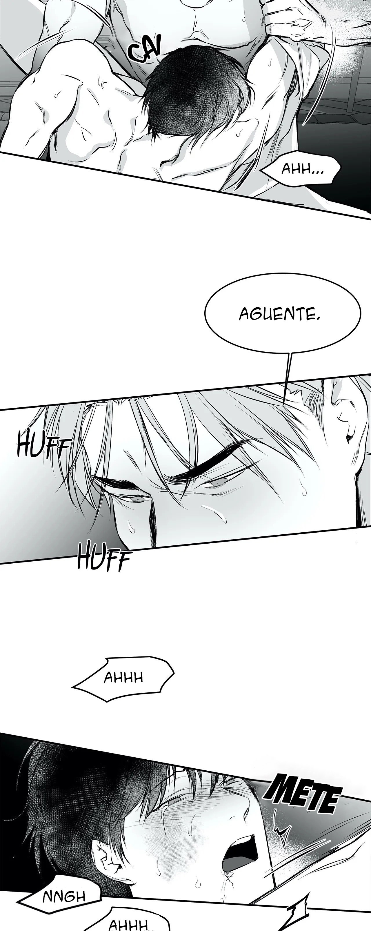 Cap 12 página 25
