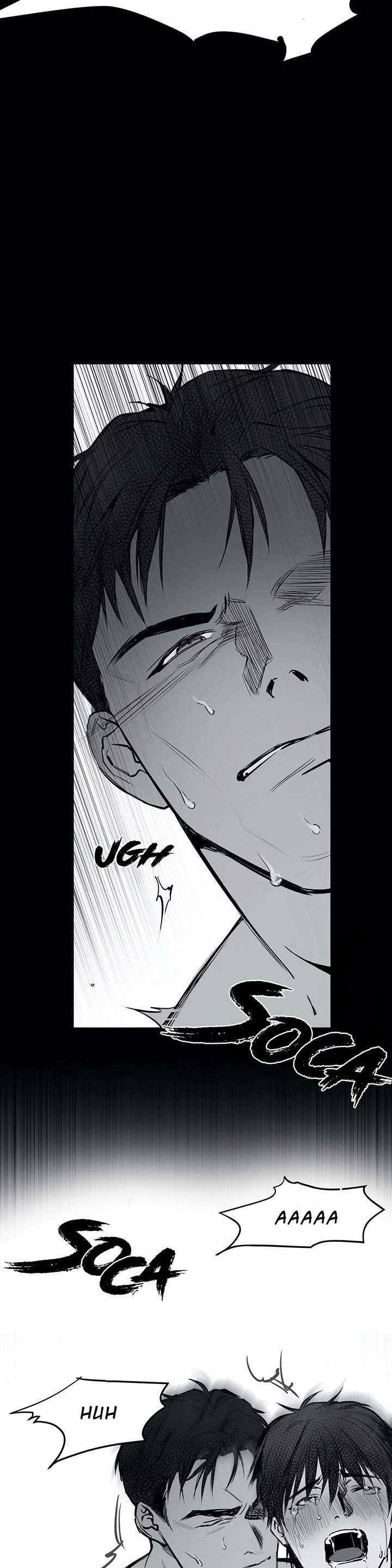 Cap 2 página 17