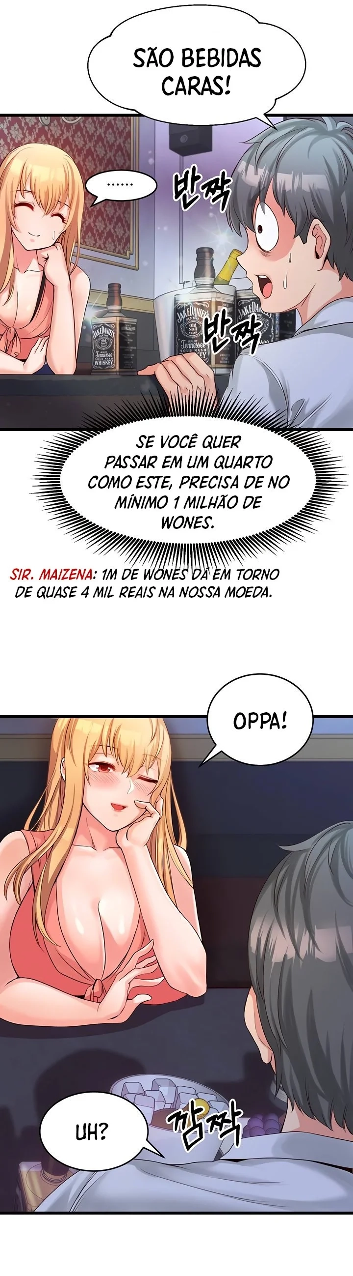 Cap 4 página 17