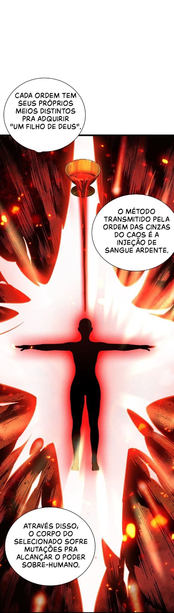 Cap 4 página 15
