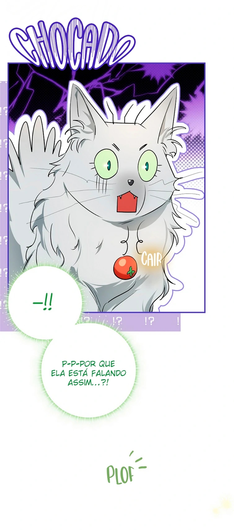 Cap 9 página 13