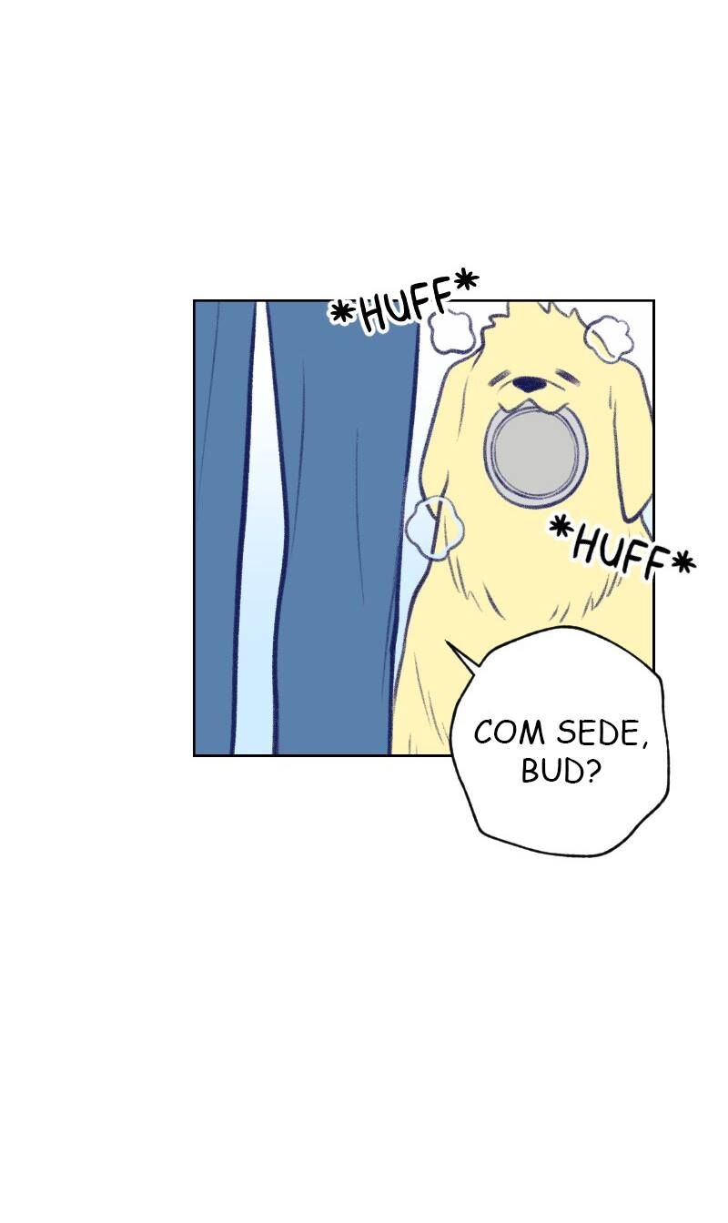 Cap 2 página 29