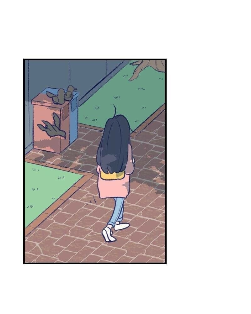 Cap 6 página 61