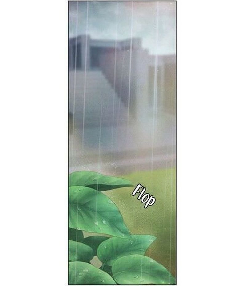 Cap 4 página 23