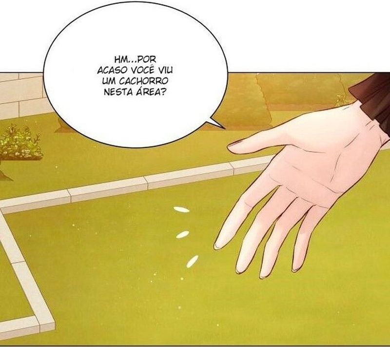 Cap 7 página 31
