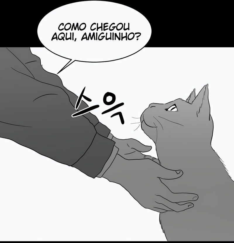 Cap 3 página 17