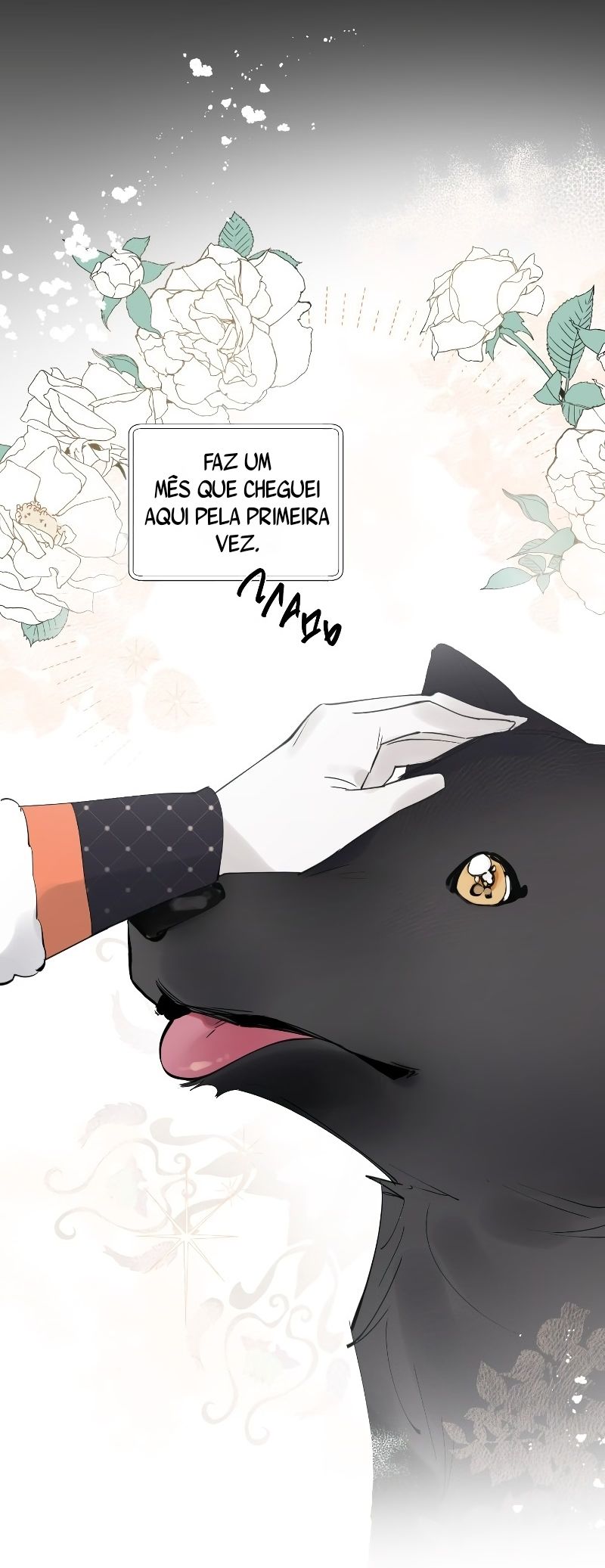 Cap 4 página 65