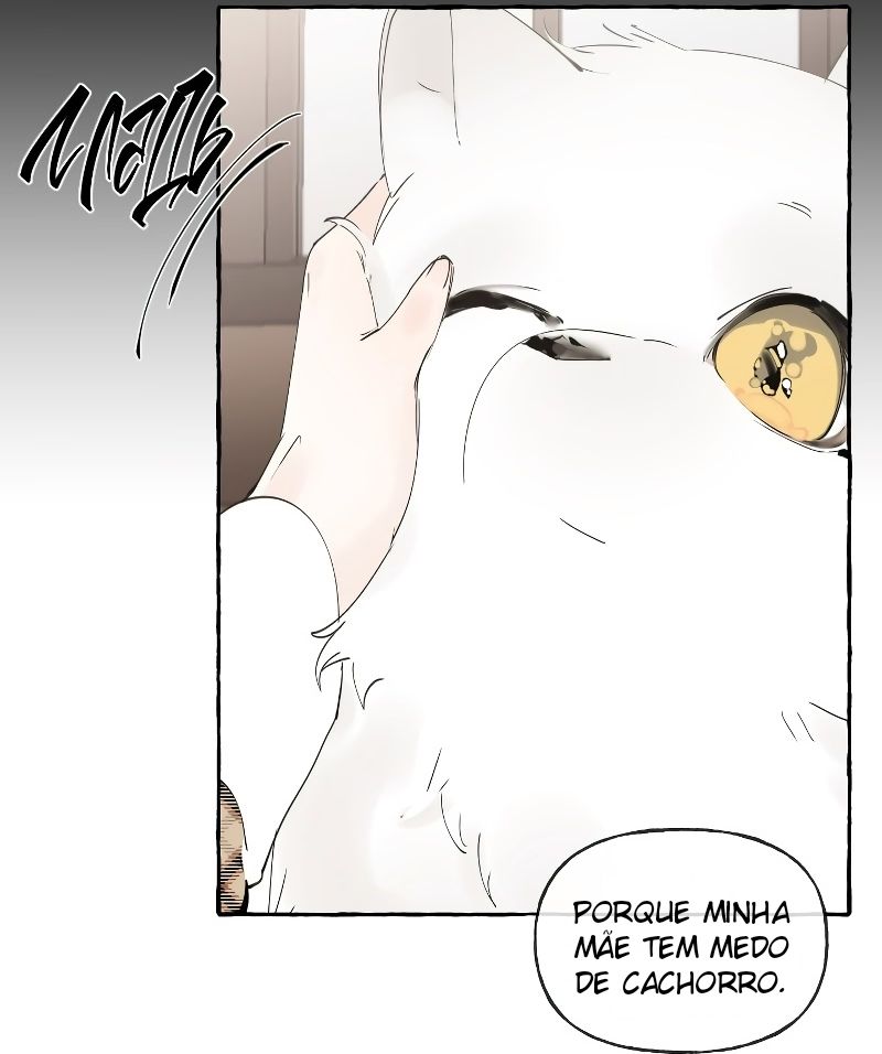 Cap 5 página 17