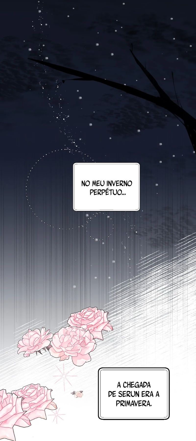Cap 8 página 120