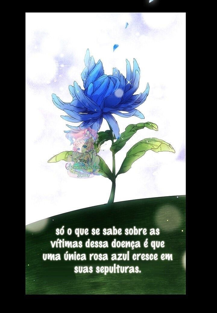 Cap 4 página 43