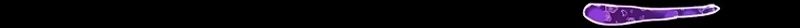 Cap 6 página 20