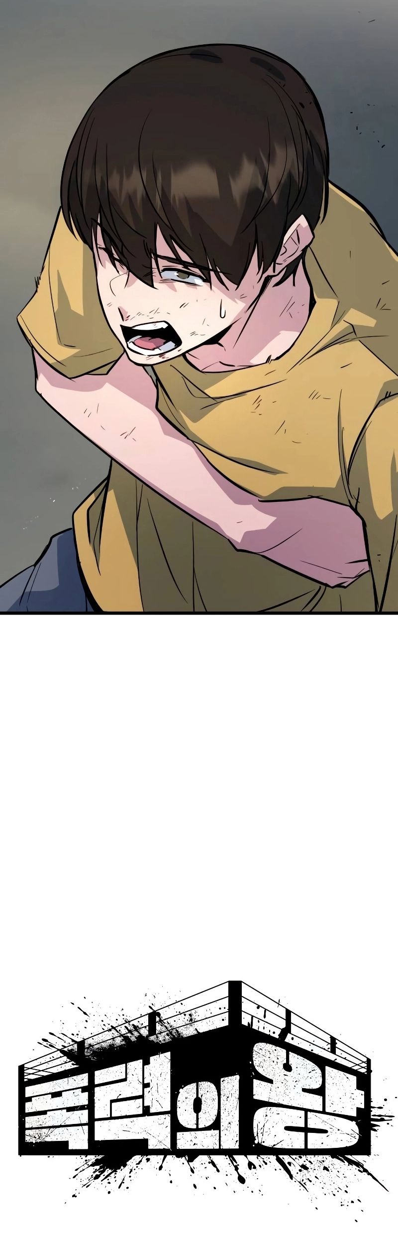 Cap 4 página 17