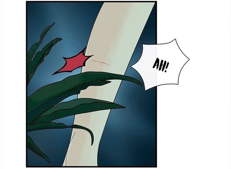Cap 2 página 114