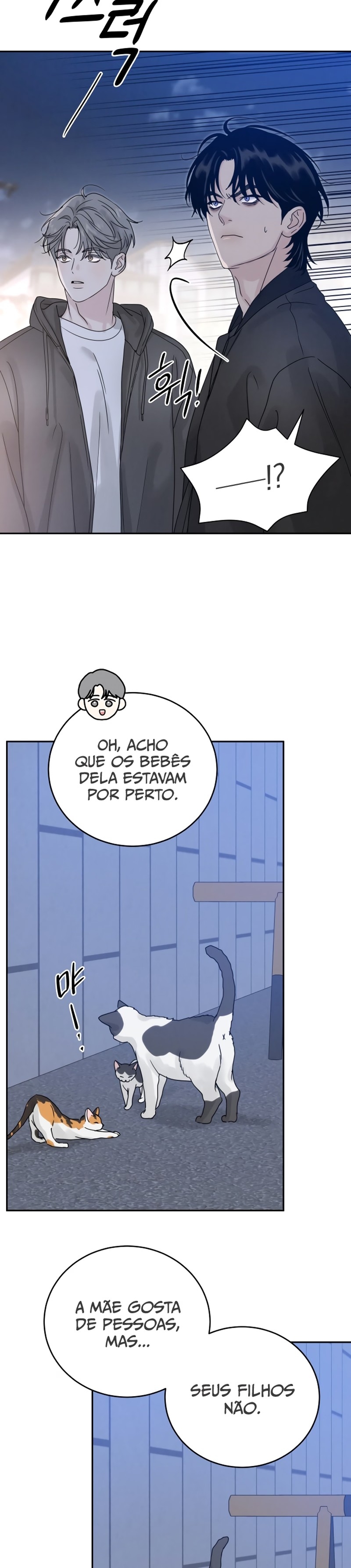 Cap 8 página 14