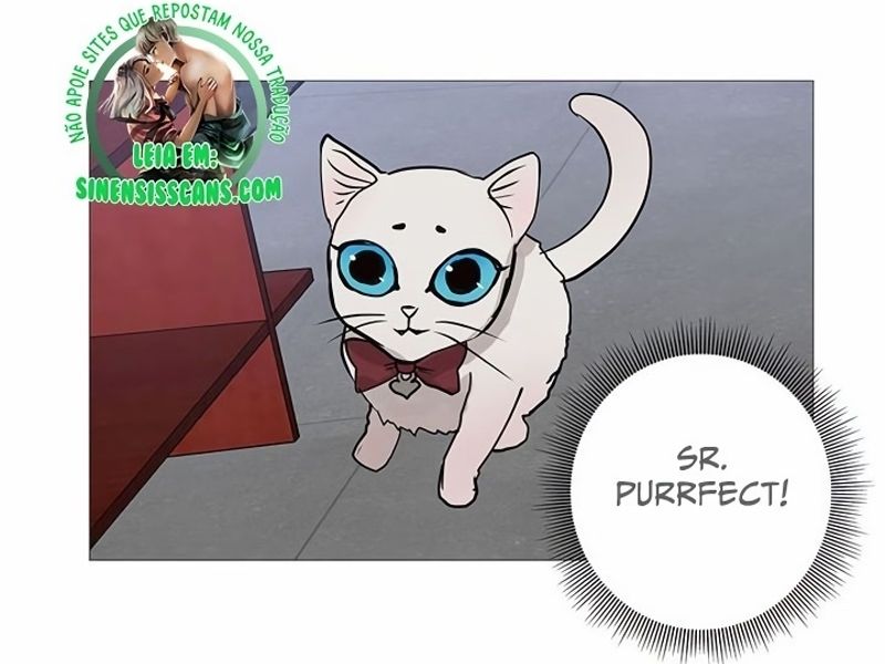 Cap 4 página 113