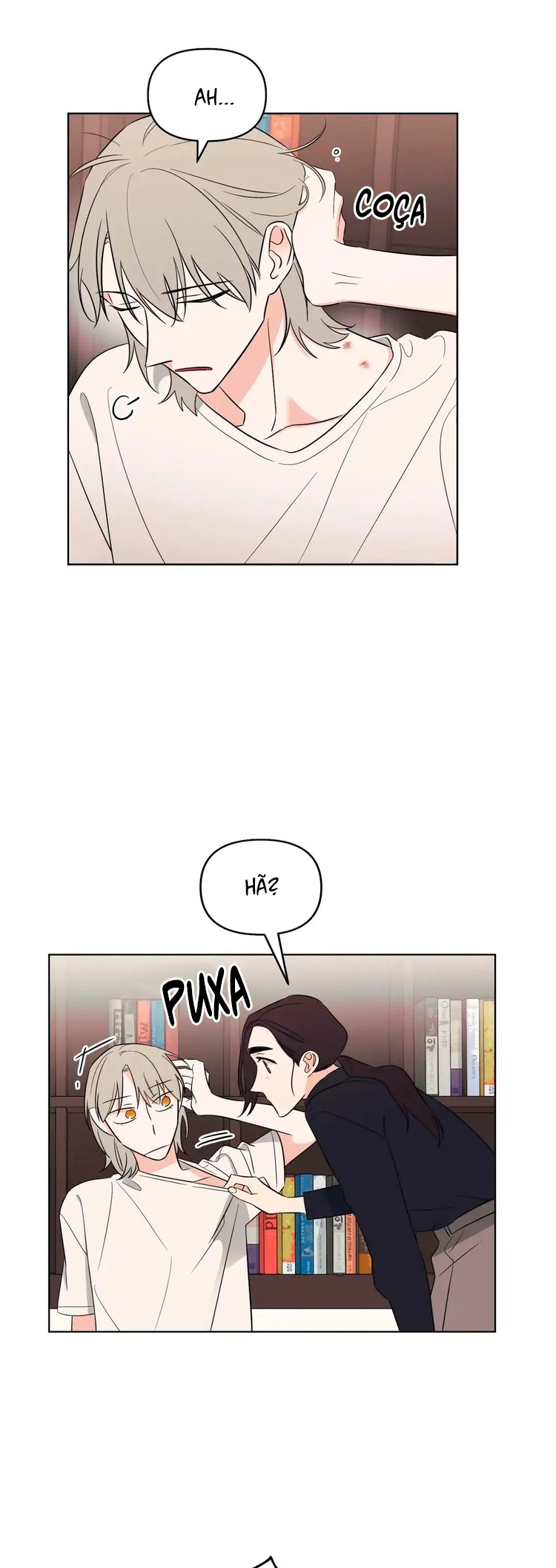 Cap 4 página 14