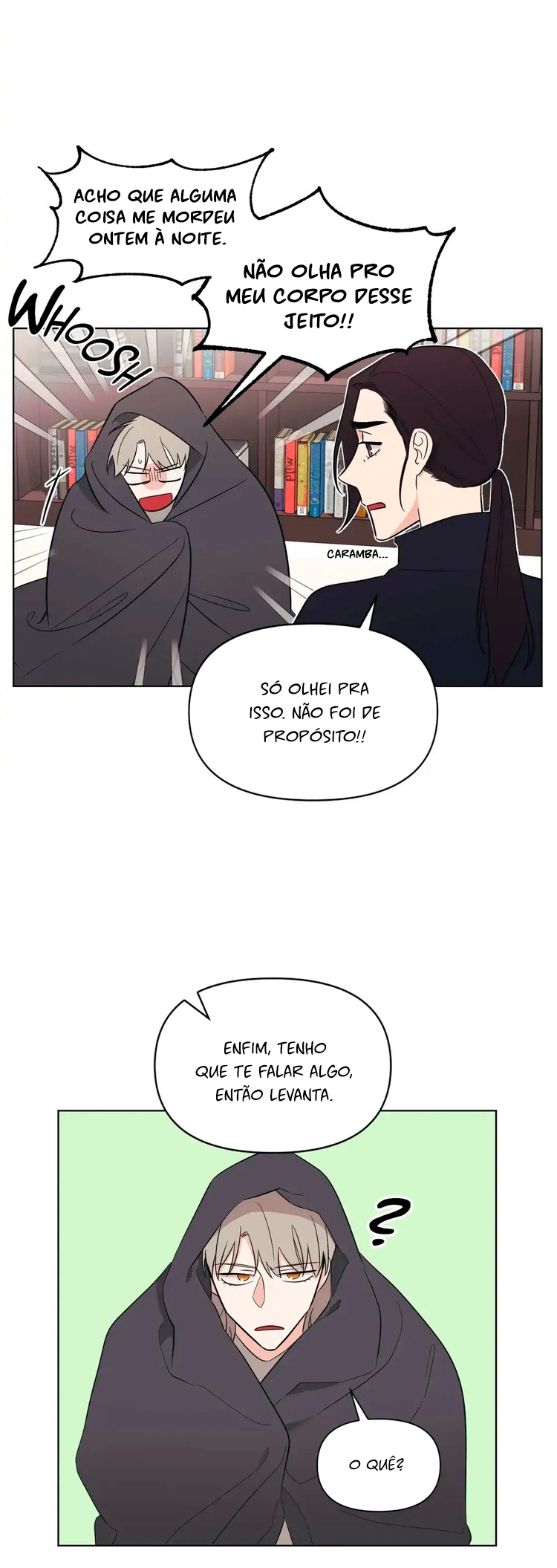 Cap 4 página 17