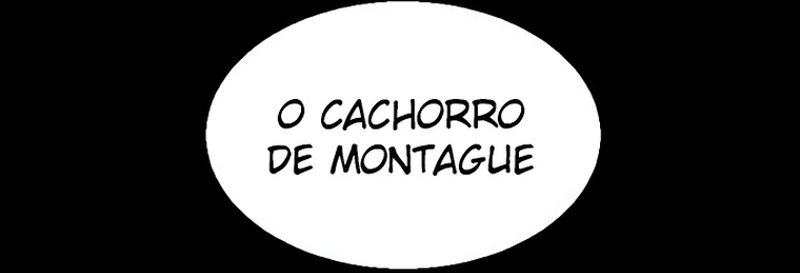Cap 0 página 17