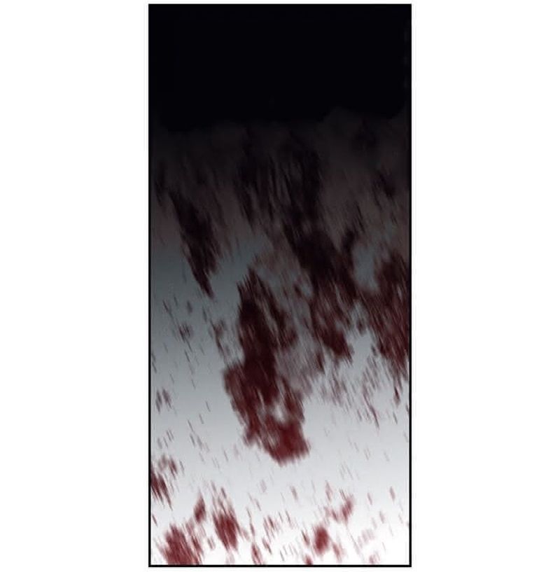 Cap 2 página 17