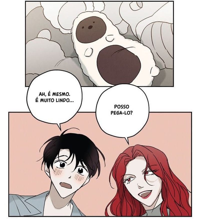 Cap 8 página 19