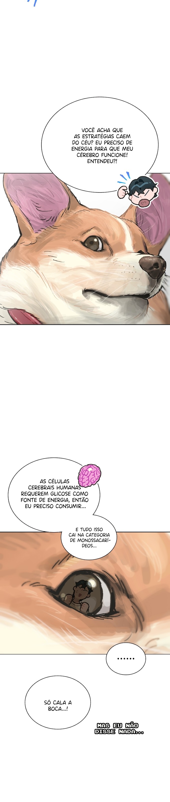 Cap 7 página 19