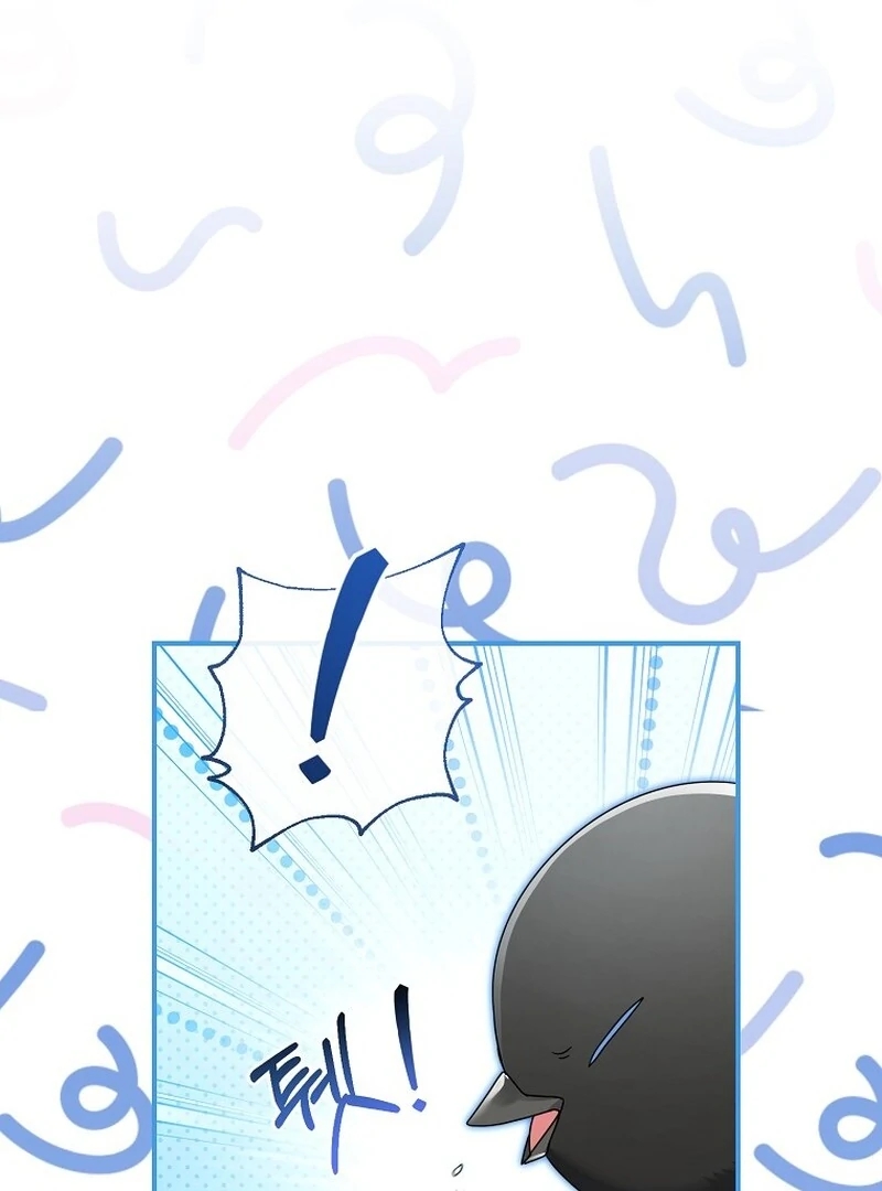 Cap 6 página 67