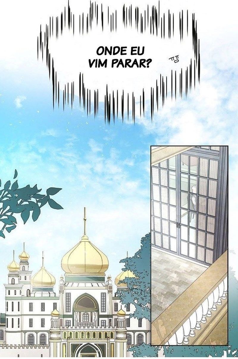 Cap 2 página 46