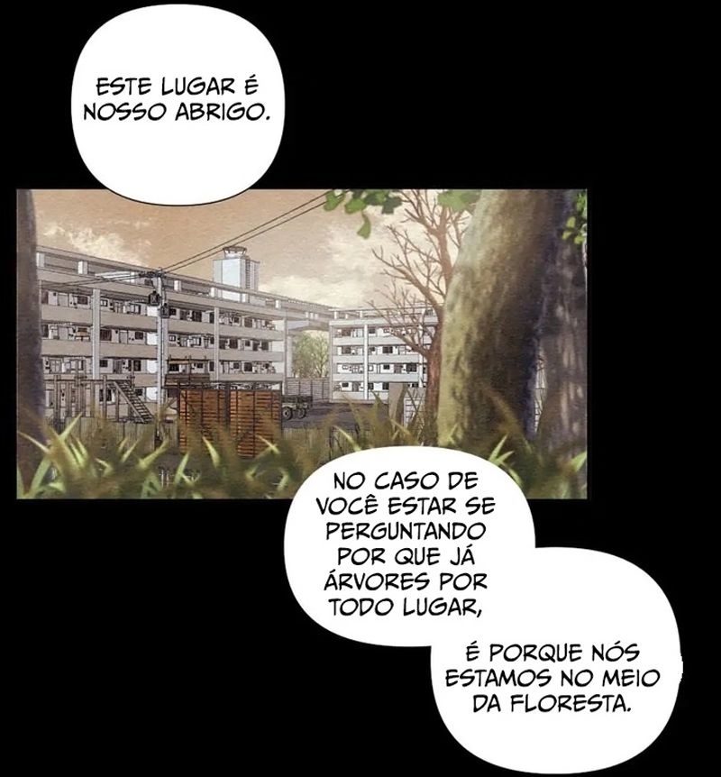 Cap 6 página 13
