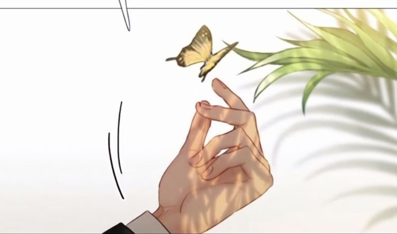 Cap 6 página 36